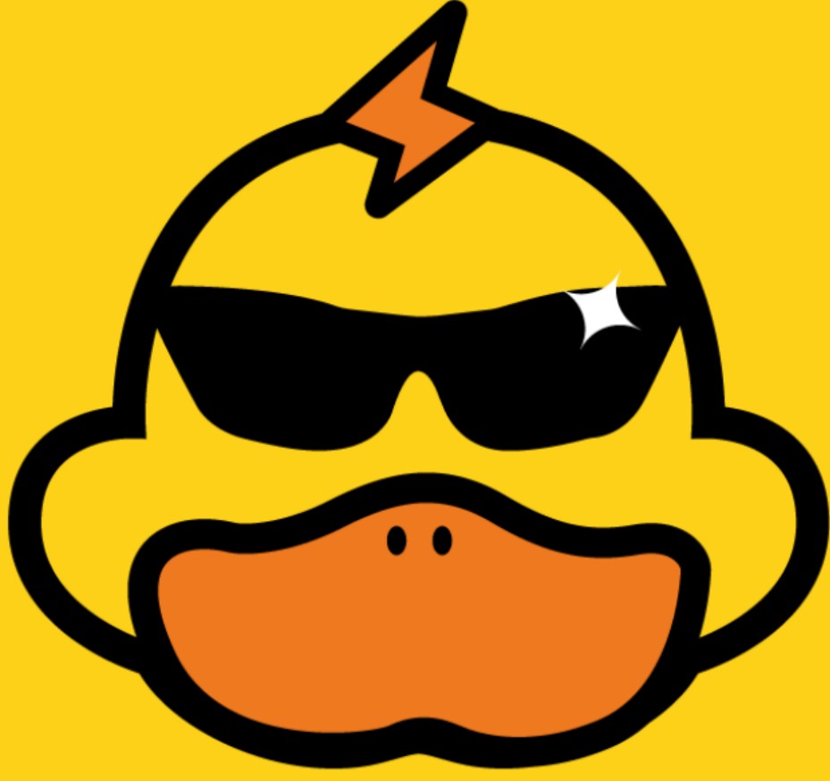 鸭子图标的加速器